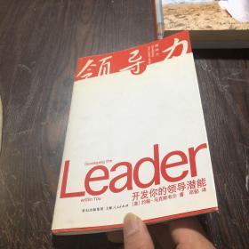 领导力:开发你的领导潜能