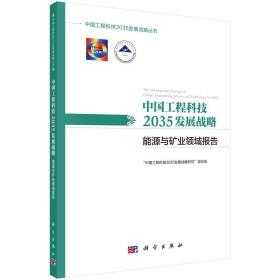 中国工程科技2035发展战略·能源与矿业领域报告