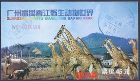 门票-【广州番禺香江野生动物世界】参观券、长颈鹿、扭羚羊、斑马等图，票背使用说明