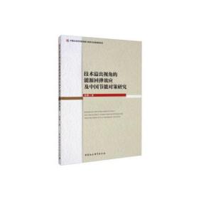 技术溢出视角的能源回弹效应及中国节能对策研究