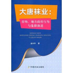 大唐袜业：市场、地方政府行为与集群演进