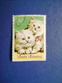 外国邮票   罗马尼亚邮票 猫（盖销票 ）