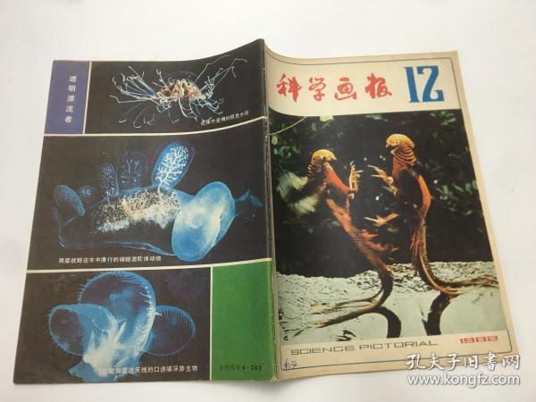 科学画报 1983   12