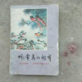 观赏鸟的饲育