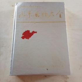 山东风物大全（16开硬精装）