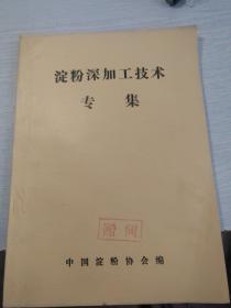 淀粉深加工技术专集