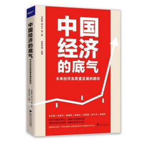 中国经济的底气：未来经济高质量发展的路径（顶级经济学家+一流专业解读）