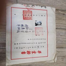 1953年湖北省武昌第一女子中学毕业证