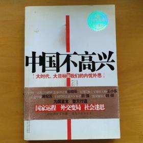 中国不高兴：大时代大目标及我们的内忧外患