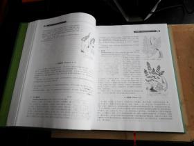 中国高等植物   第二卷   外书衣小磕碰  内全新    未翻阅
