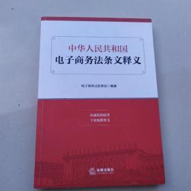 中华人民共和国电子商务法条文释义