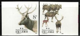 实图扫描收藏 邮票 88年 T132 麋鹿(无齿) (全品）宽边