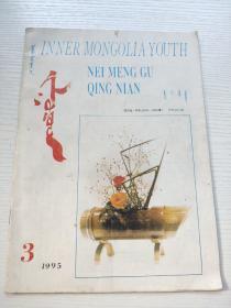 蒙文  内蒙古青年1995.3
