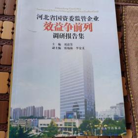 河北省国资委监管企业效益争前列调研报告集