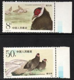 实图扫描保真新中国邮票 T134 褐马鸡邮票2全新 带右色标