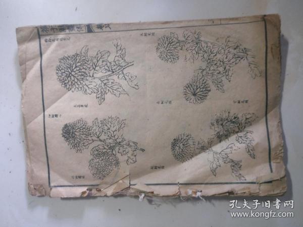 早期线装残页，    芥子园画传      卷五二集，卷六二集全梅谱,10几张，卷七二集菊谱只有4页，