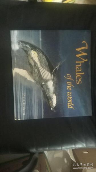 Whales of the World (Worldlife Discovery Guides)