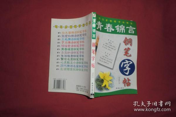 青春锦言钢笔字帖 // 【购满100元免运费】