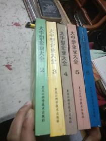 独联体及波罗的海三国大中型企业大全.第一分册.黑色有色金属及建筑材料