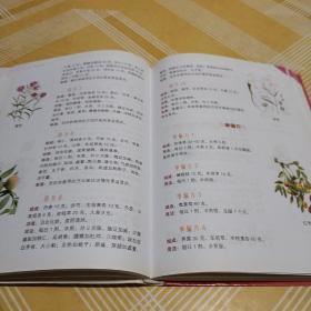 治病救命特效方大全集