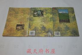 90年代老课本：老版初中生物课本 九年义务教育三年制初级中学教科书 生物 全套3本 【 92年~99年版 有笔迹】 人教版