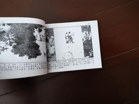 中国成语故事34578910共7册连环画
