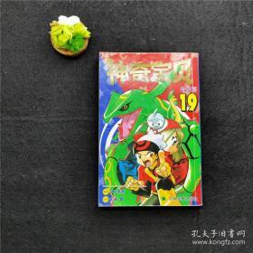 神奇宝贝特别篇 19 （神奇宝贝特别篇 宠物小精灵 口袋妖怪 日本动漫漫画pokeman）