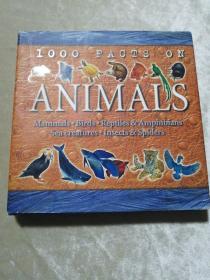 包邮 外文原版 精装全铜版纸彩印 ANIMALS Looo facts on  ANIMALS