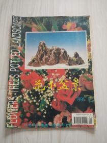 花木盆景（1985,1）
