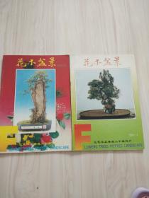 花木盆景1994年,4,5