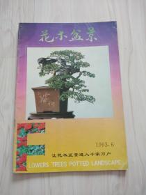 花木盆景（1993,6）