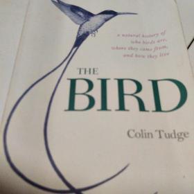 The Bird: A Natural History of Who Birds Are, Where They Came From, and How They Live