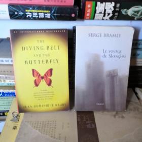 The Diving Bell and the Butterfly: A Memoir of Life in Death
Serge  bramly