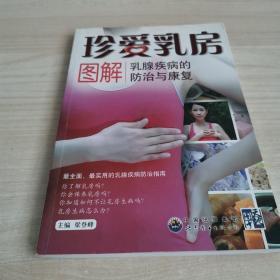 珍爱乳房：图解乳腺疾病的防治与康复