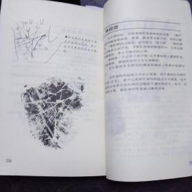 图解掌纹健康诊断(1架3排)此书有批阅如图所示