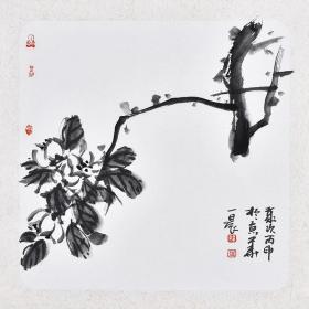 河北美院 孙老师《一枝春》HN12853