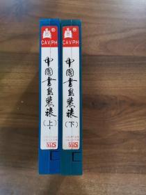 老录像带：中国书画装裱（上.下）全。购买者发票。
