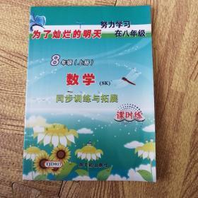 同步训练与拓展：数学（9年级）（全1册）（浙教版）