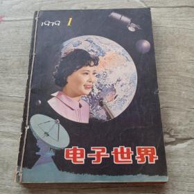 电子世界(1979年1，1980年4.5.9.12，1987年2.6，1982年6.9.11)10本合售