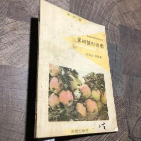 果樹(shù)整形修剪