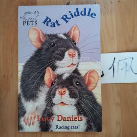Rat Riddle