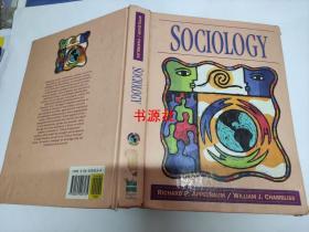 SOCIOLOGY(大16开精装）【包中通快递】