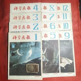 科学画报――1982年（1―12期全）