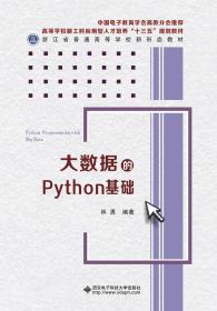 正版二手 大数据的Python基础