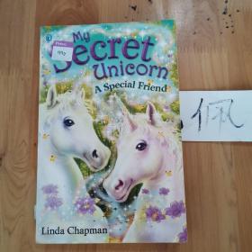 My Secret Unicorn