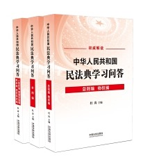 中华人民共和国民法典学习问答（共3册）