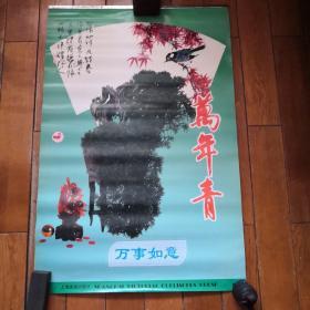 挂历：万年青
