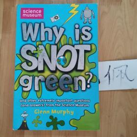 Why is snot green？