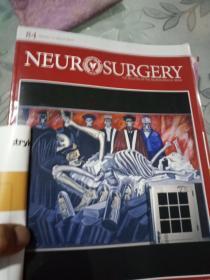 NEUR  SURGERY 神经外科中文版