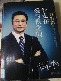 白岩松 行走在爱与恨之间